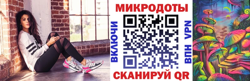 гидра сайт  закладка  Белёв  Псилоцибиновые грибы Psilocybine cubensis 